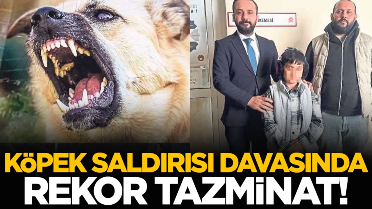 Köpek saldırısı davasında rekor tazminat!