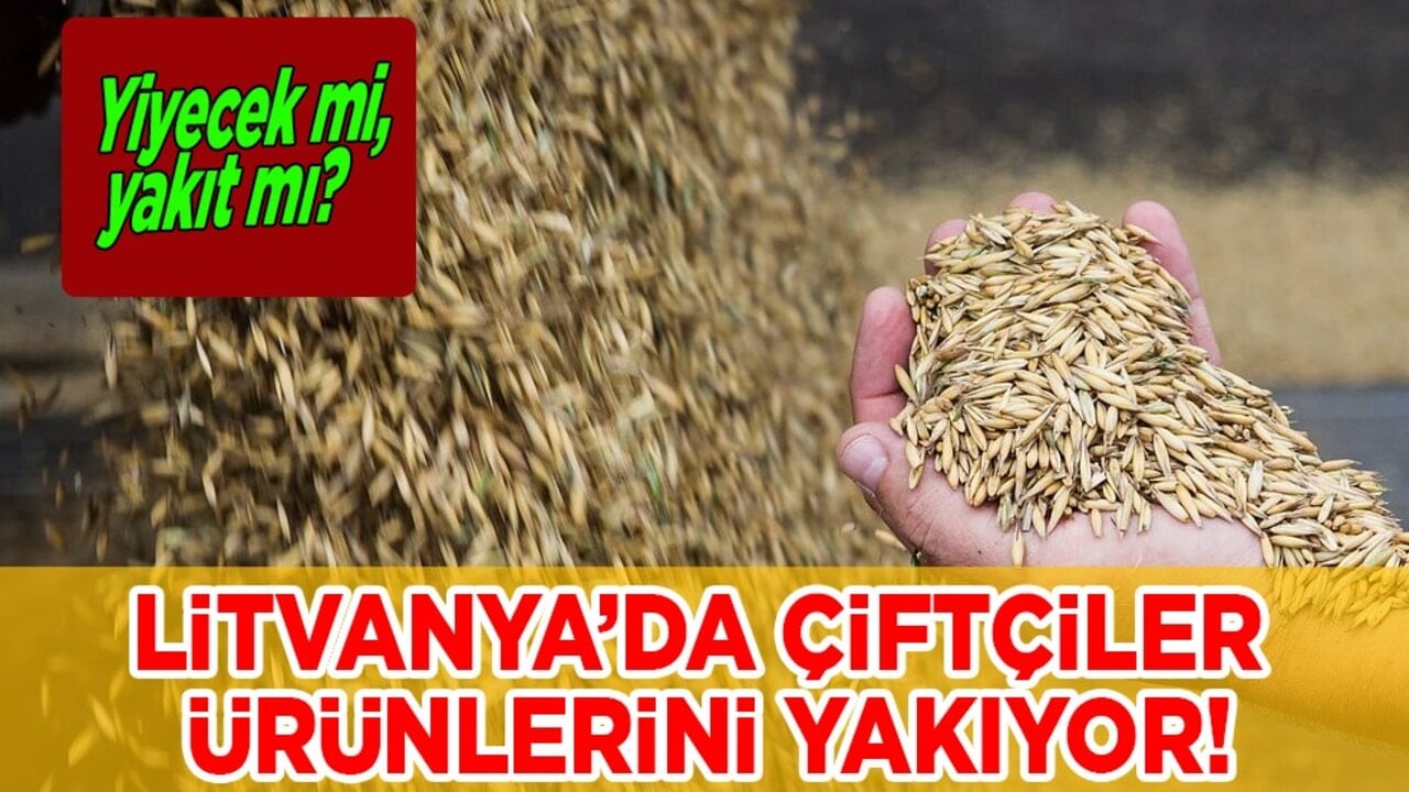 O ülkede bu olay yılan hikayesine döndü: Yiyecek mi, yakıt mı? Kafaları karıştırdı! Merak uyandırdı 