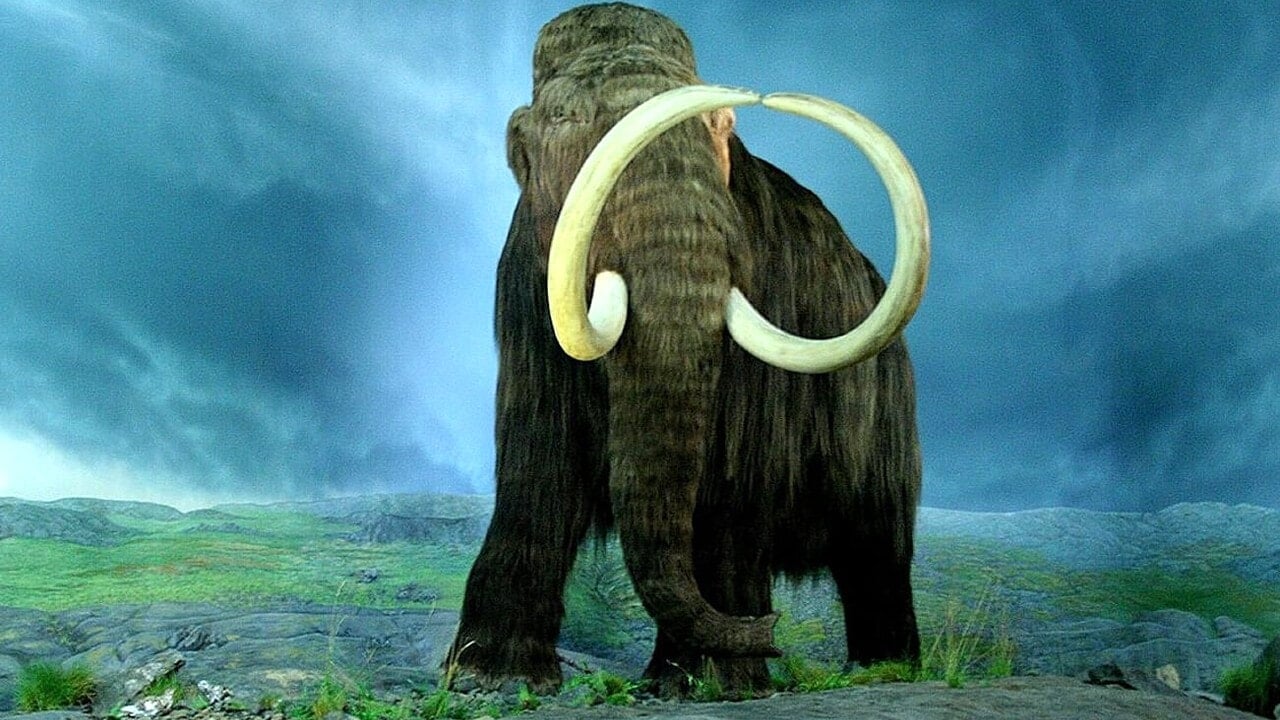 Mamut Yuka’dan 40 bin yıllık RNA: Bilim dünyasında tarihi keşif