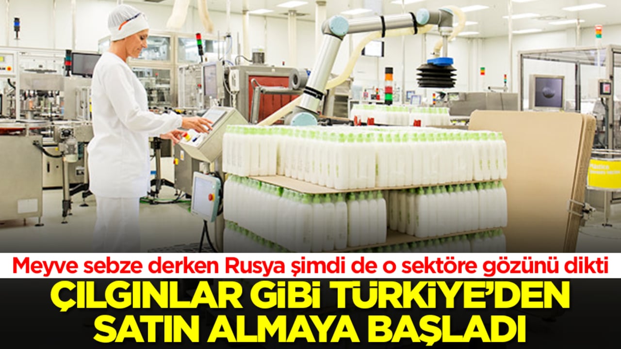 Meyve sebze derken Rusya şimdi de o sektöre gözünü dikti: Çılgınlar gibi Türkiye'den almaya başladı
