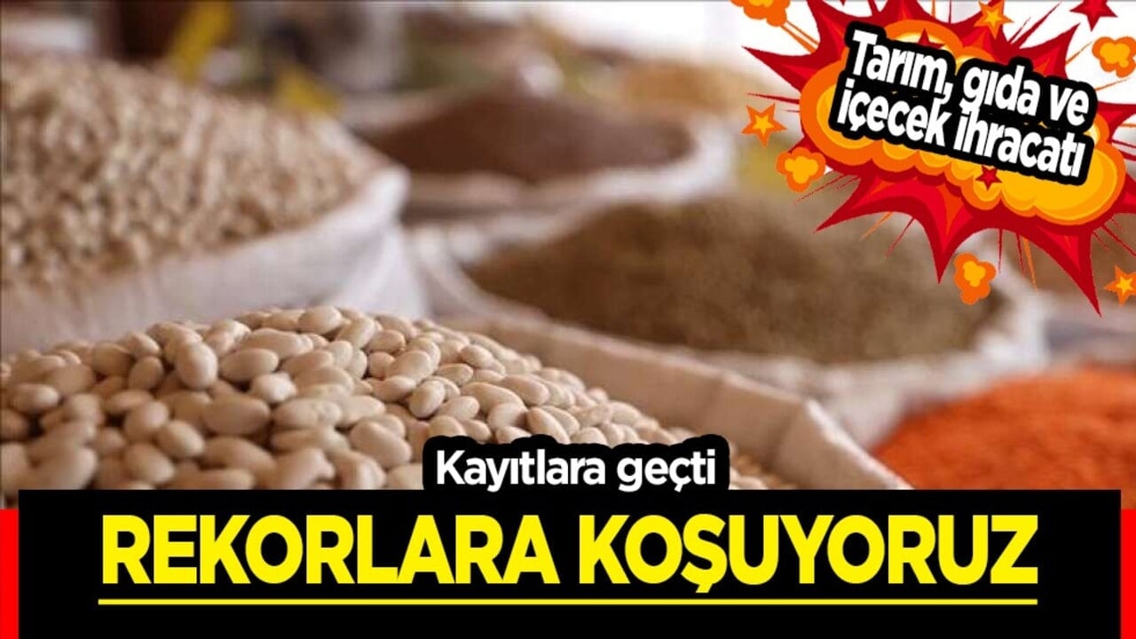 Milyar dolarlık dev ihracat! Tarım, gıda ve içecek ihracatı: Irak, Almanya, Amerika Türkiye’nin kapısını çaldı