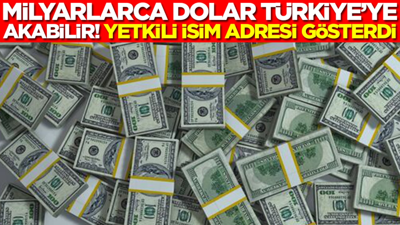 Milyarlarca dolar Türkiye'ye akabilir: Yetkili isim adresi gösterdi