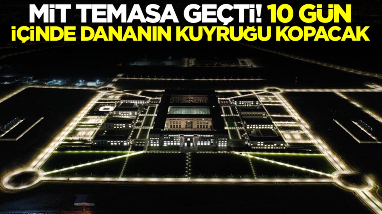 MİT temasa geçti: 10 gün içinde dananın kuyruğu kopacak