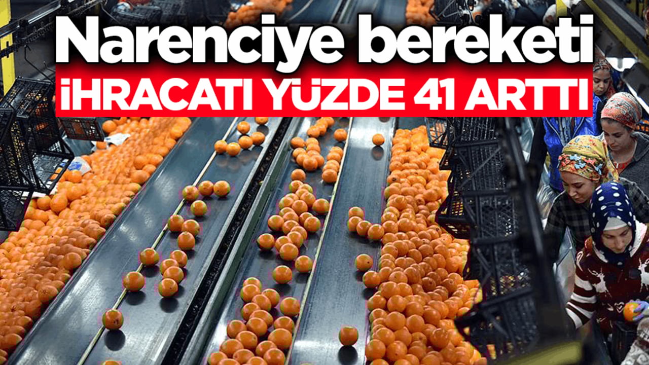 Narenciye bereketi! İhracatı yüzde 41 arttı