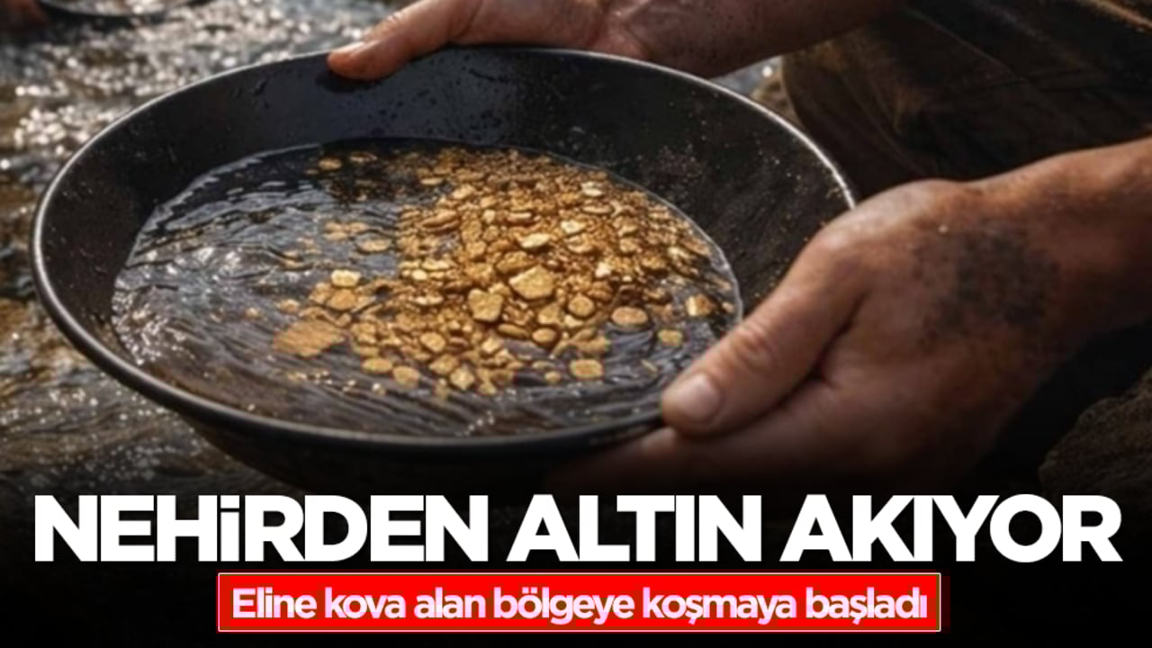 Nehir yatağından altın akıyor! Eline kova alan bölgeye koşmaya başladı