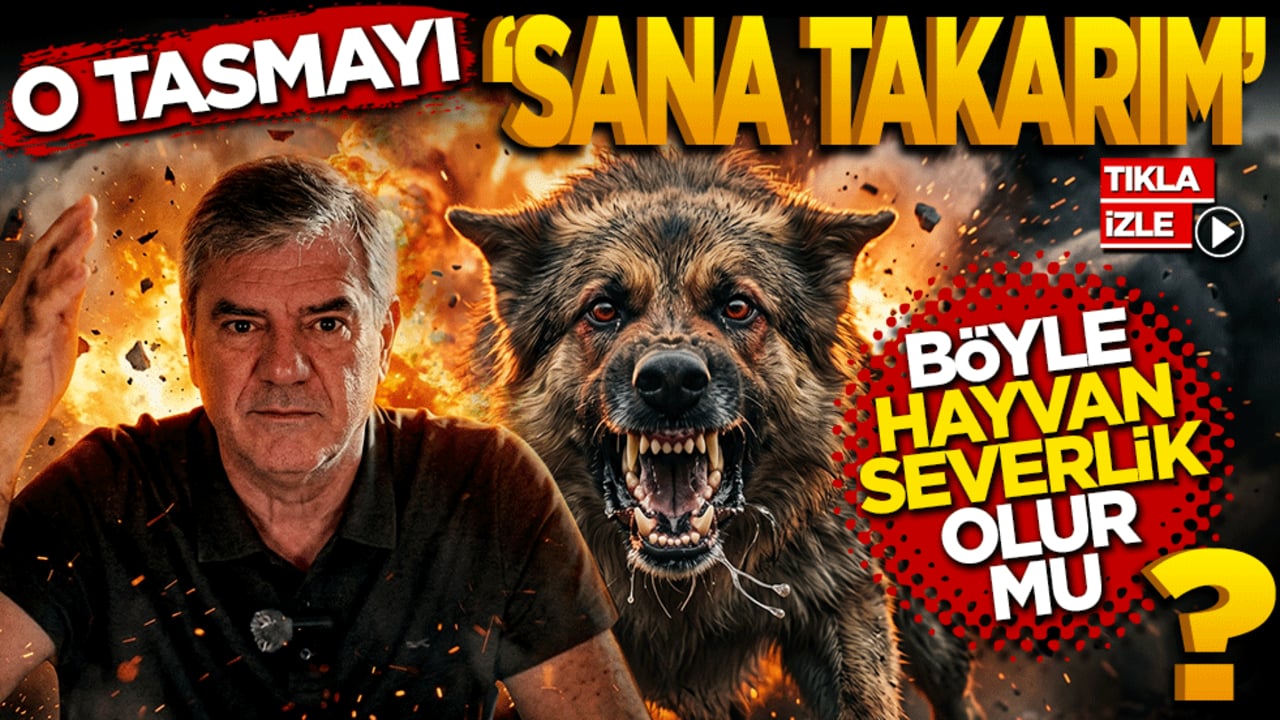 O Tasmayı Sana Takarım! 