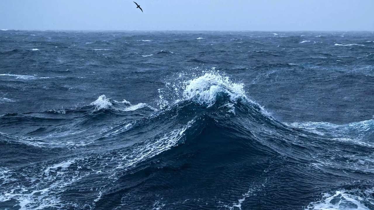 Okyanusun gizemli sakinleri: Türü belirsiz canlı görüntülendi