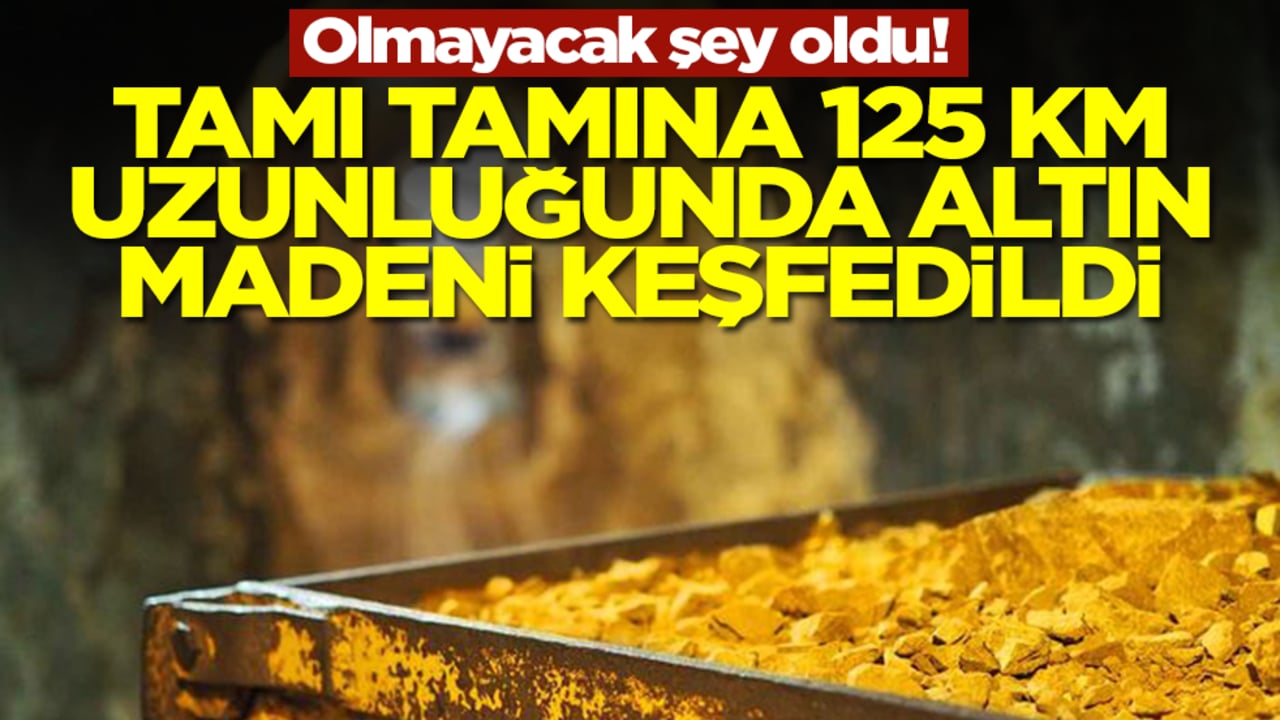 Olmayacak şey oldu: Tamı tamına 125 kilometre uzunluğunda altın madeni keşfedildi