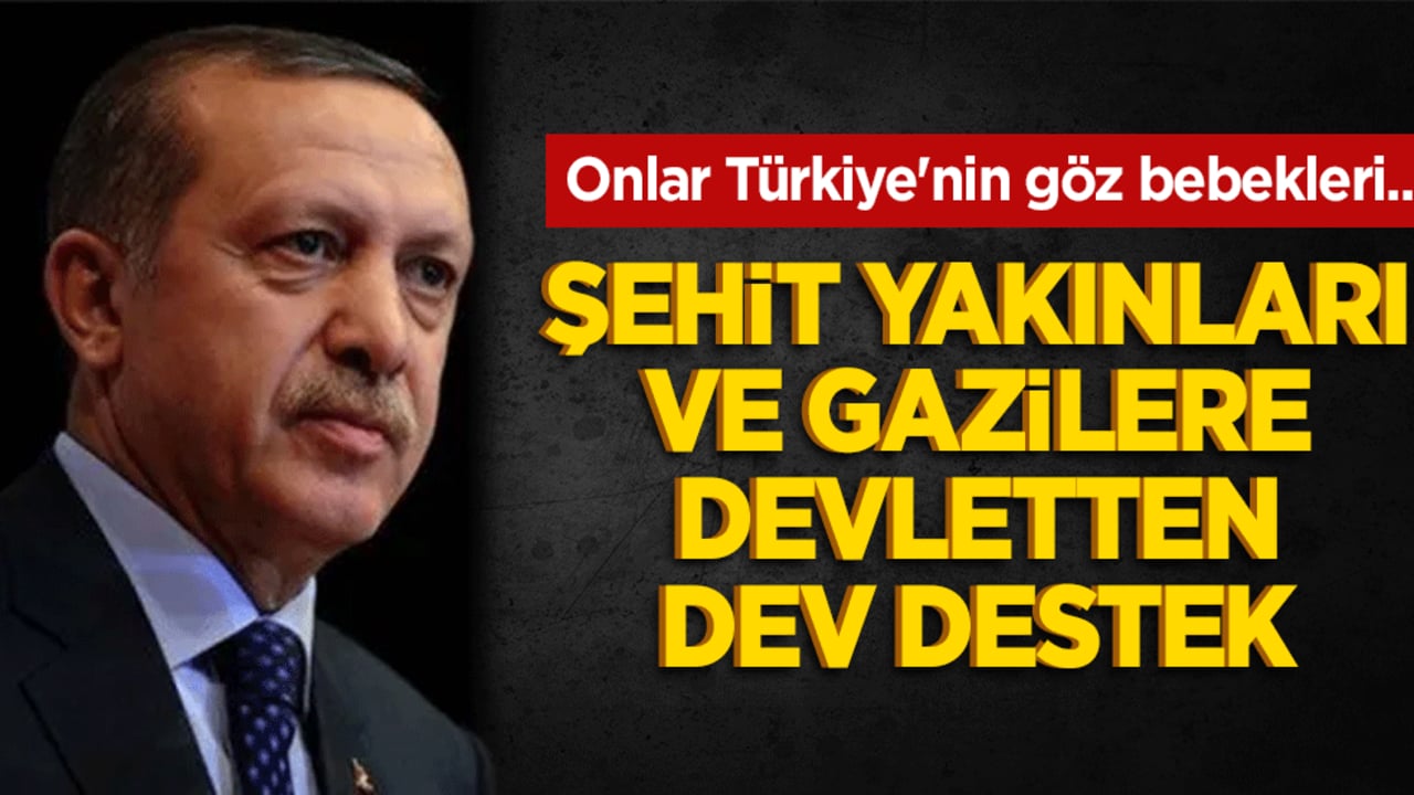 Onlar Türkiye'nin göz bebekleri... Şehit yakınları ve gazilere devletten dev destek