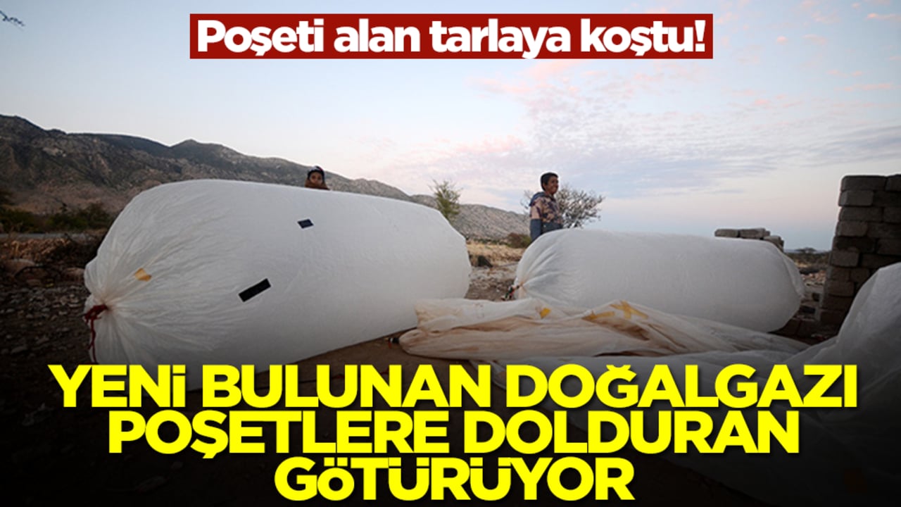 Poşeti alan tarlaya koştu! Yeni bulunan doğalgazı poşetlere dolduran götürüyor