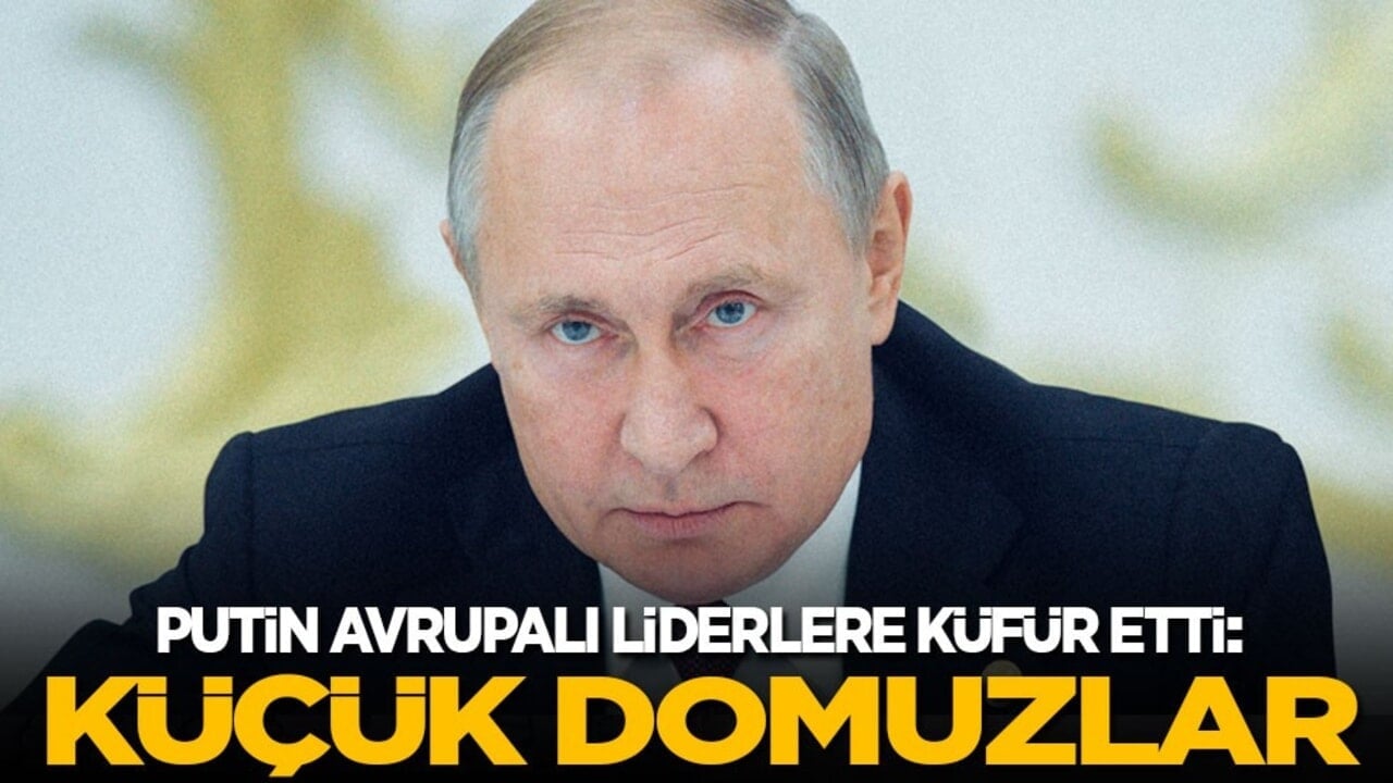 Putin Avrupalı liderlere küfür etti: Küçük domuzlar!