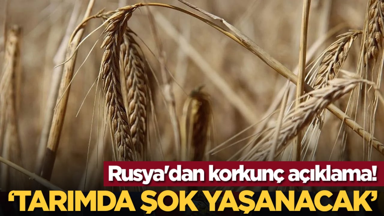 Rusya'dan korkunç açıklama! "Tarımda şok yaşanacak"
