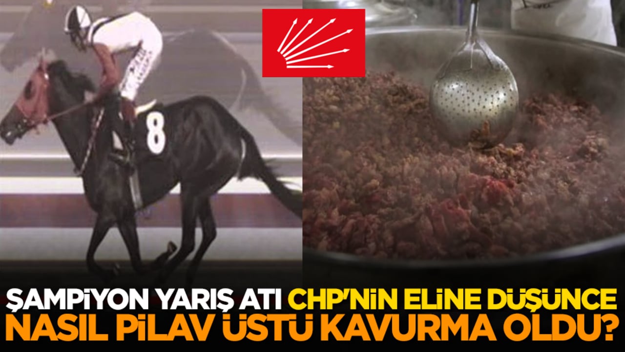 Şampiyon yarış atı CHP'nin eline düşünce nasıl pilav üstü kavurma oldu?
