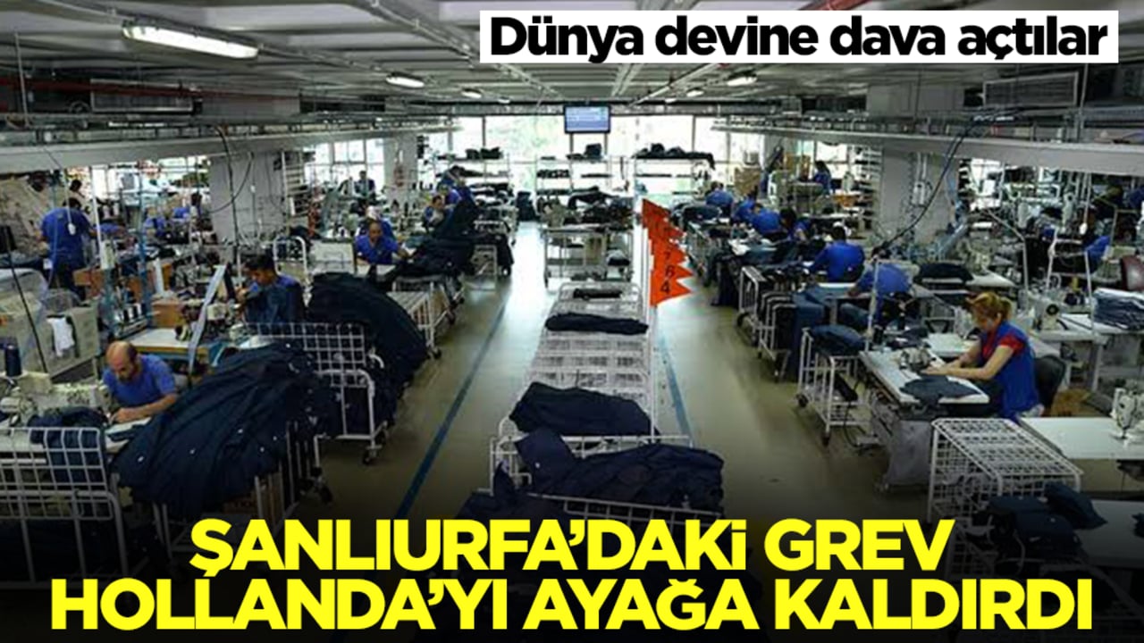 Şanlıurfa’daki grev Hollanda'yı ayağa kaldırdı: İşçilere neden sahip çıkmadınız