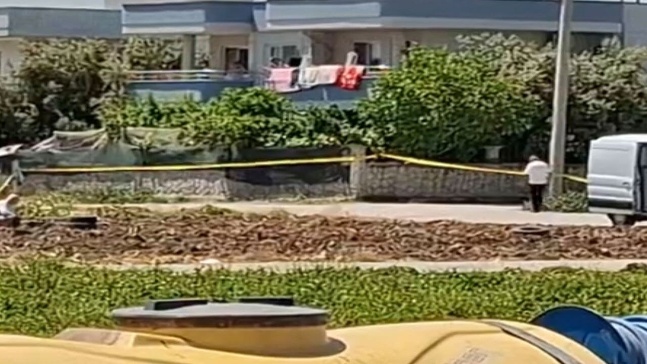 Sarımsak tarlasını bomba imha uzmanları bastı: Havaya uçuruldu