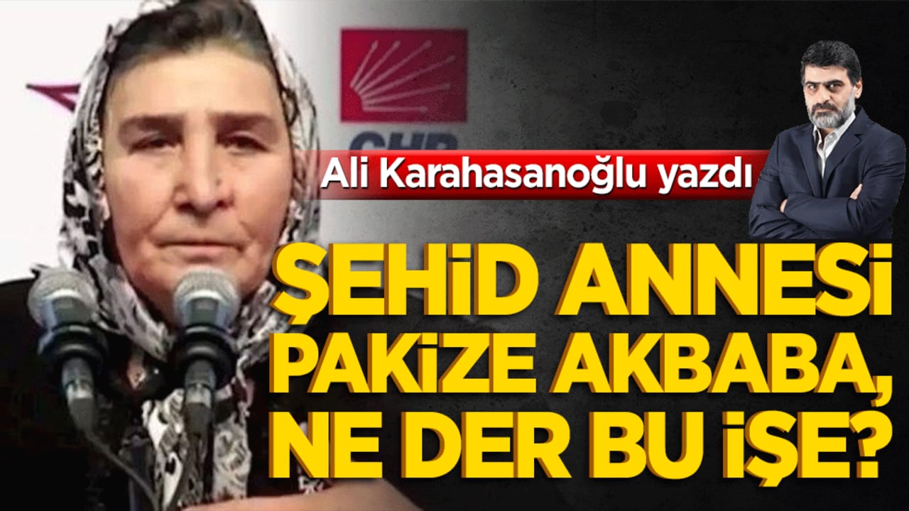 Şehid annesi Pakize Akbaba, ne der bu işe?