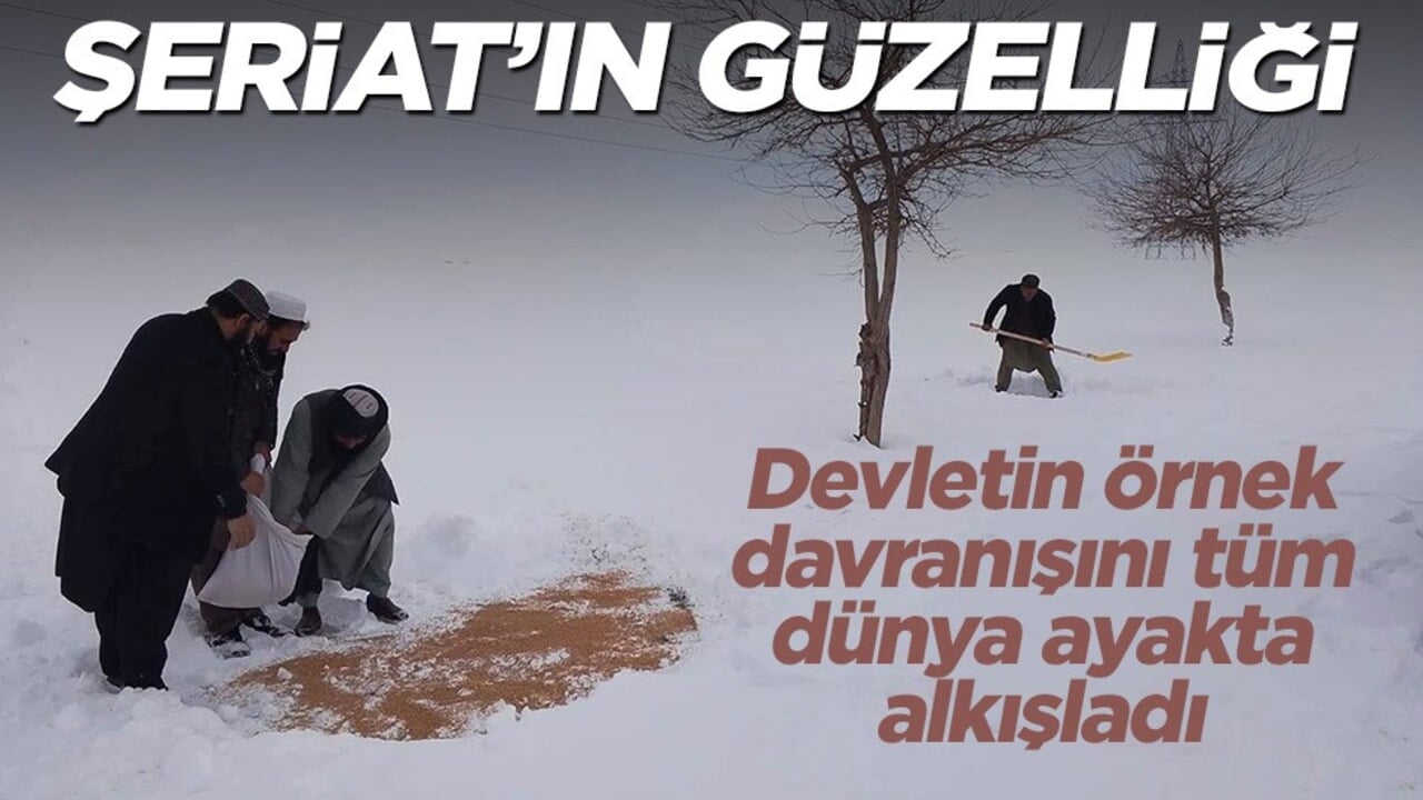 Şeriat’ın güzelliği… Devletin örnek davranışını tüm dünya ayakta alkışladı