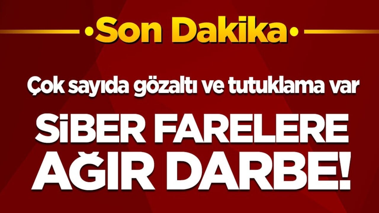 Son dakika! Çok sayıda gözaltı ve tutuklama var: Siber farelere ağır darbe