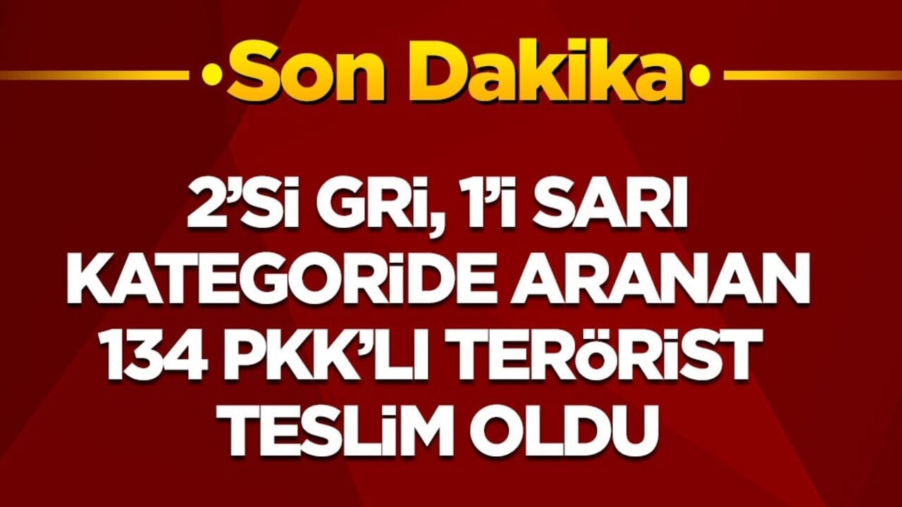 Son dakika! İçişleri Bakanlığı: 2’si Gri, 1’i Sarı kategoride aranan 134 PKK'lı terörist teslim oldu