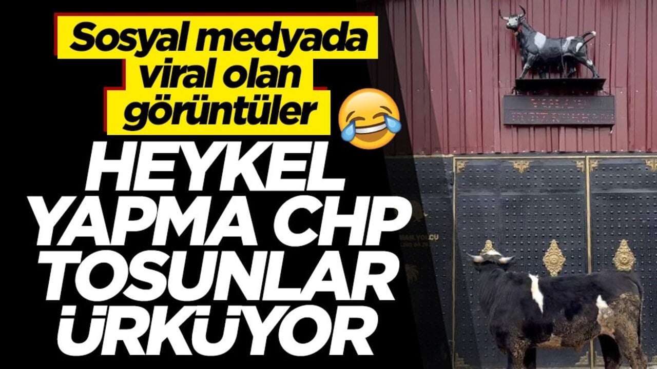 Sosyal medyada viral olan görüntüler! Heykel yapma CHP tosunlar ürküyor