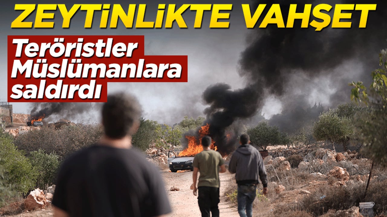 Teröristler, Müslümanlara saldırdı! Zeytinlikte vahşet