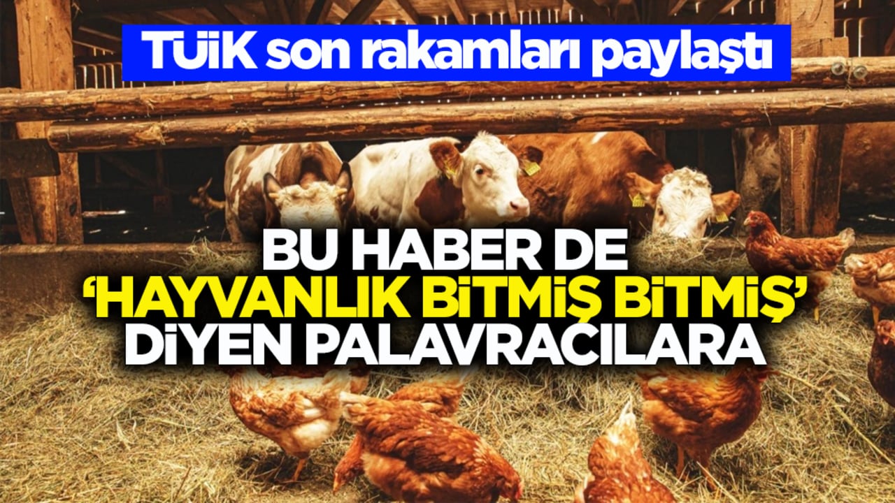 TÜİK son rakamları paylaştı! bu haber de ‘hayvanlık bitmiş bitmiş’ diyen palavracılara