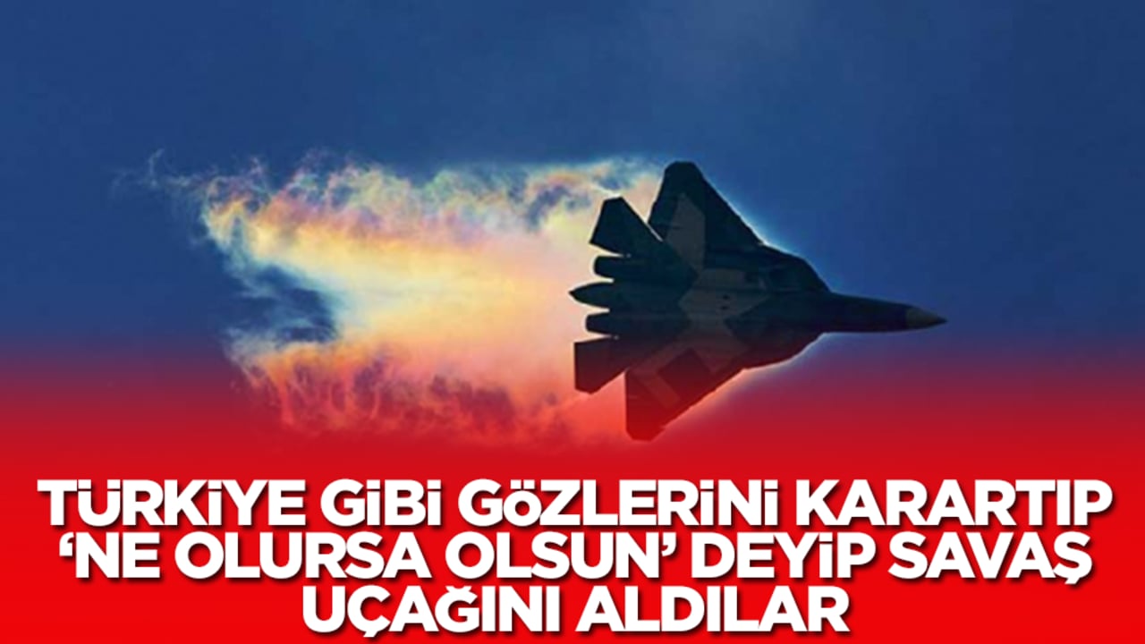 Türkiye gibi gözlerini karartıp 'ne olursa olsun' deyip savaş uçağını aldılar