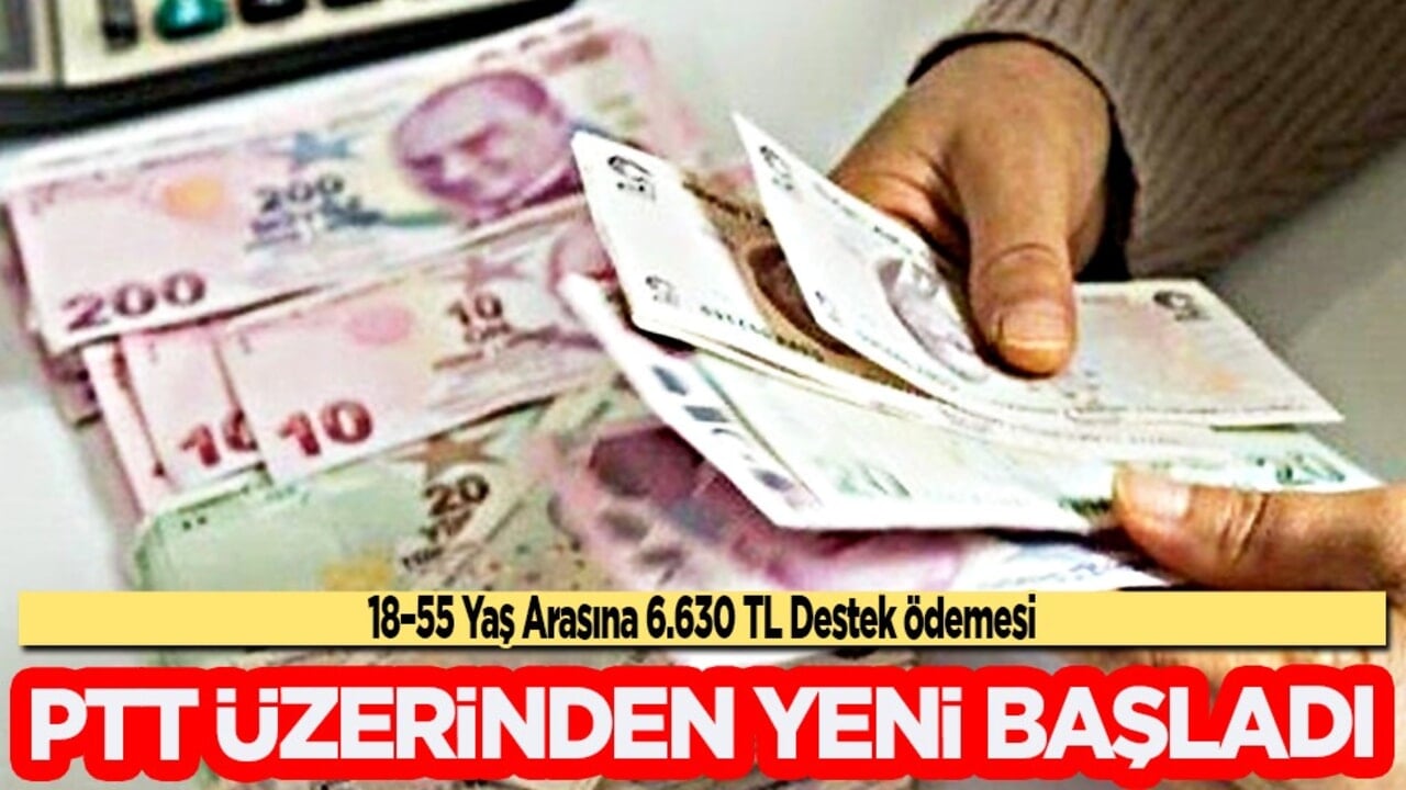 Türkiye programını devreye aldı: 18-55 yaş arası vatandaşlar dikkat! Destek ödemesi başladı! Net rakam 6.630 lira 