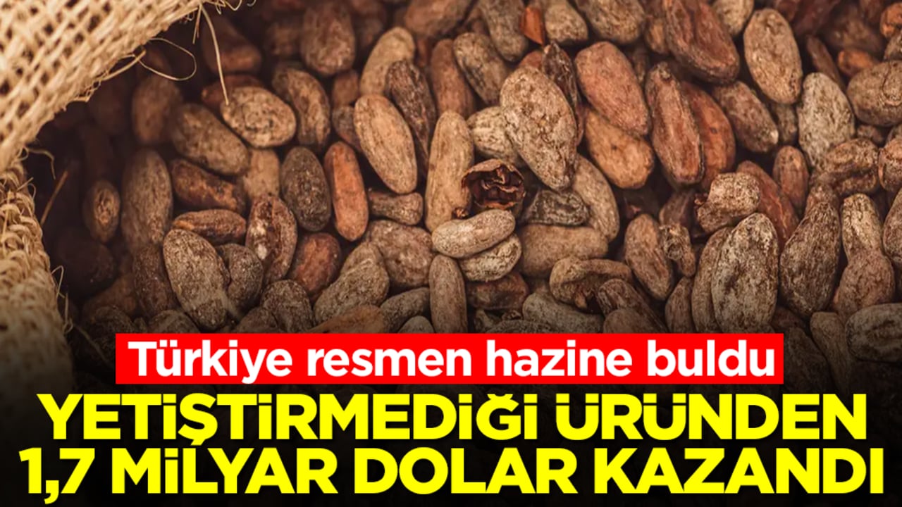 Türkiye resmen hazine buldu! Yetiştirmediği üründen 1,7 milyar dolar kazandı