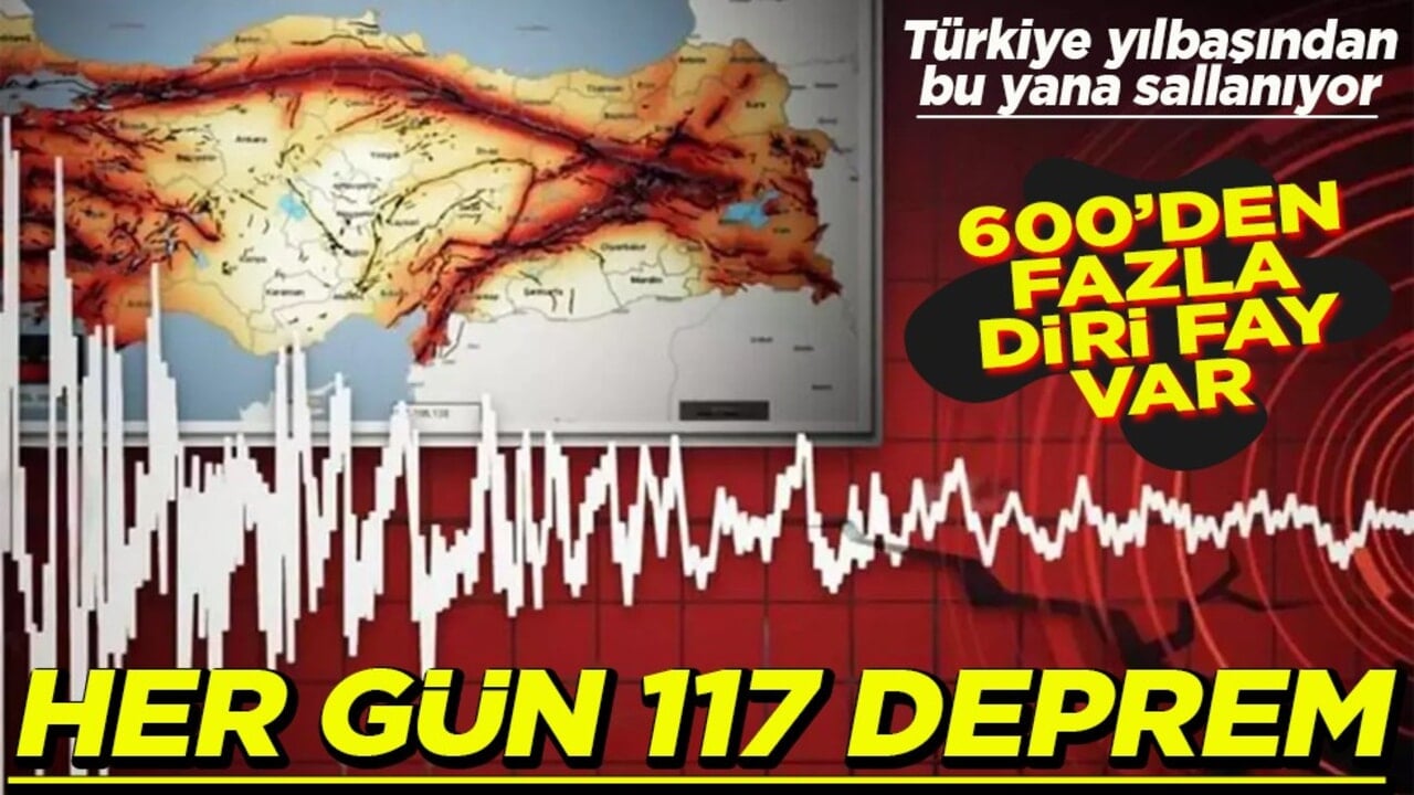 Türkiye yılbaşından bu yana sallanıyor Her gün 117 deprem
