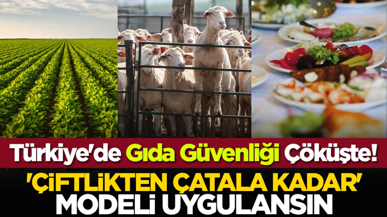 Türkiye'de Gıda Güvenliği Çöküşte! 'Çiftlikten Çatala kadar' modeli uygulansın