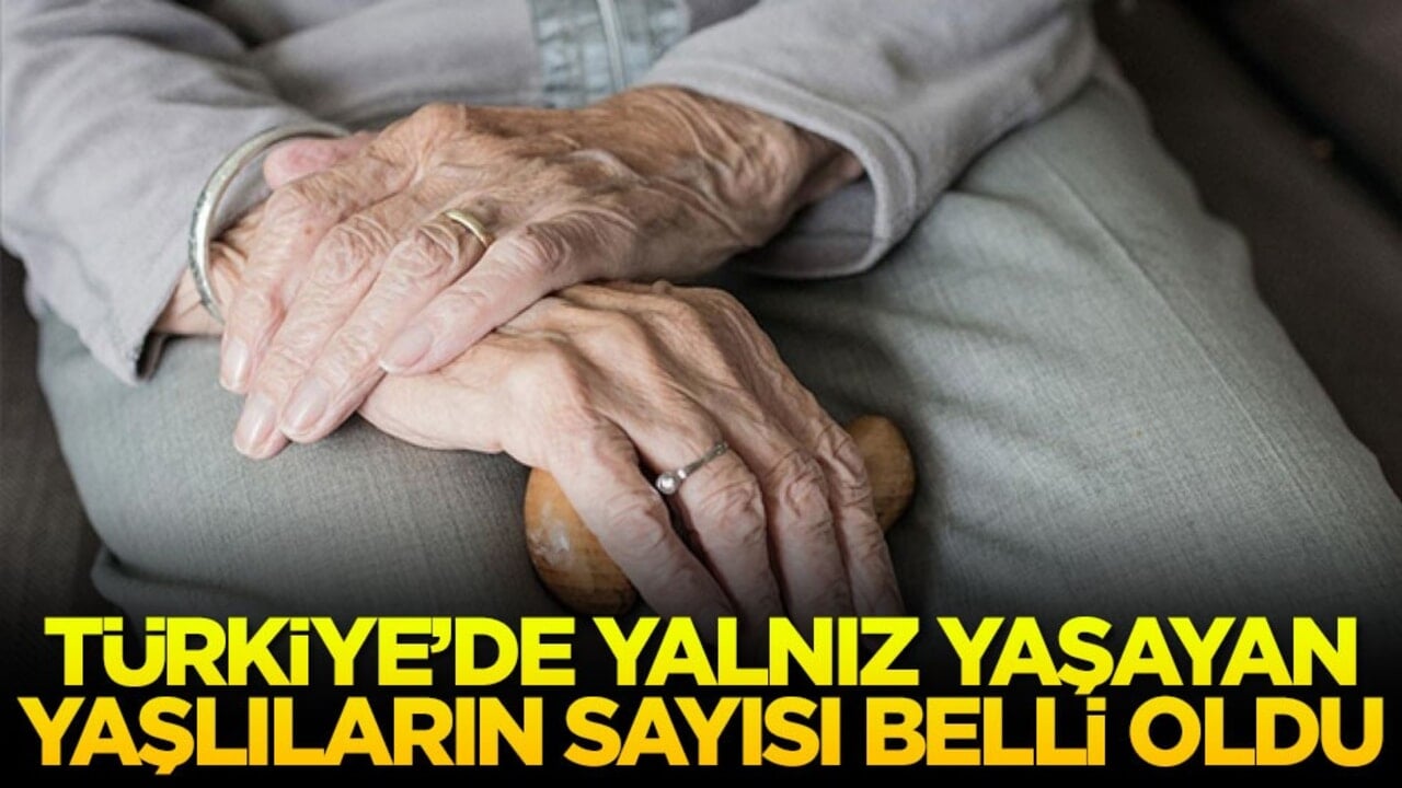 Türkiye'de yalnız yaşayan yaşlıların sayısı belli oldu