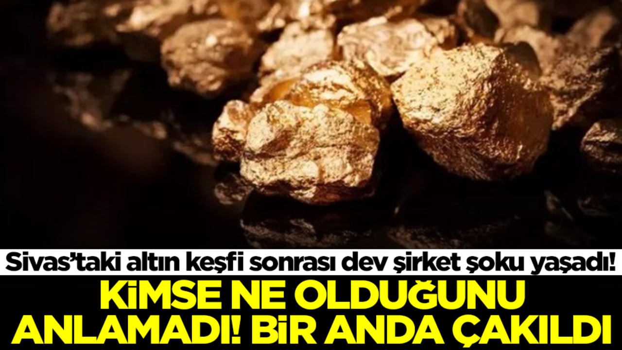 Türkiye'deki altın keşfi sonrası dev şirket şoku yaşadı! Kimse ne olduğunu anlamadı, bir anda çakıldı