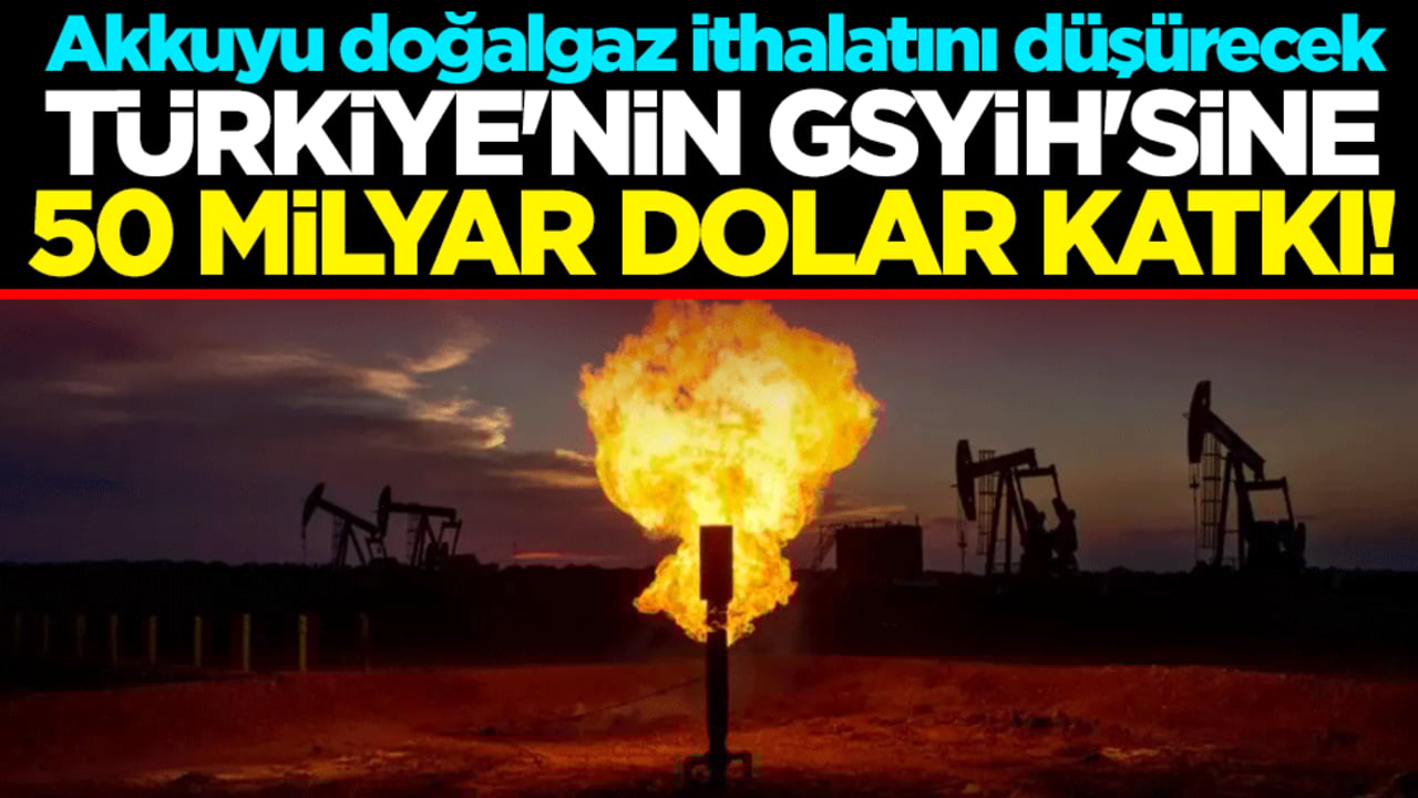 Türkiye'nin GSYİH'sine 50 milyar dolar katkı! Akkuyu doğalgaz ithalatını düşürecek