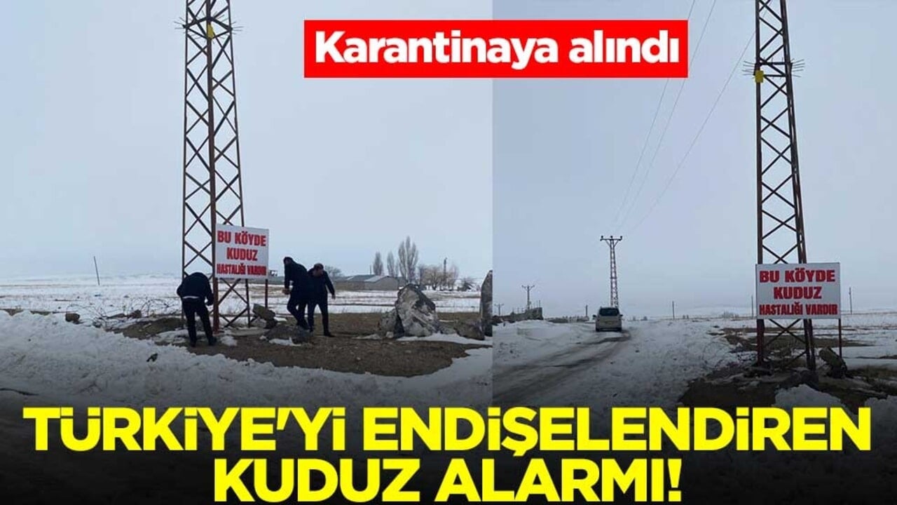 Türkiye'yi endişelendiren kuduz alarmı! Karantinaya alındı
