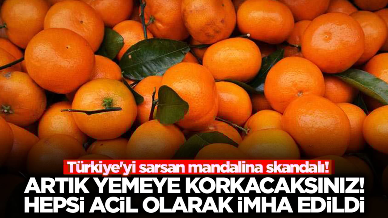 Türkiye'yi sarsan mandalina skandalı! Artık yemeye korkacaksınız, hepsi imha edildi
