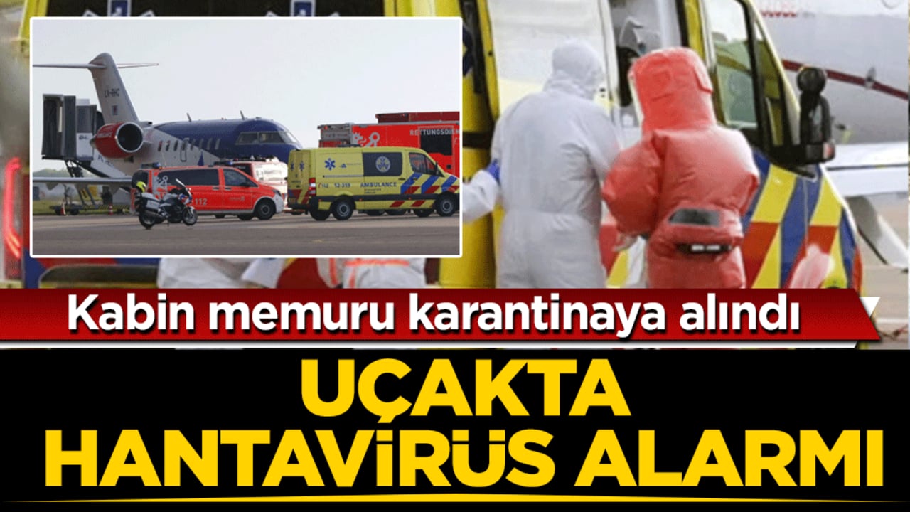 Uçakta hantavirüs alarmı: Kabin memuru karantinaya alındı