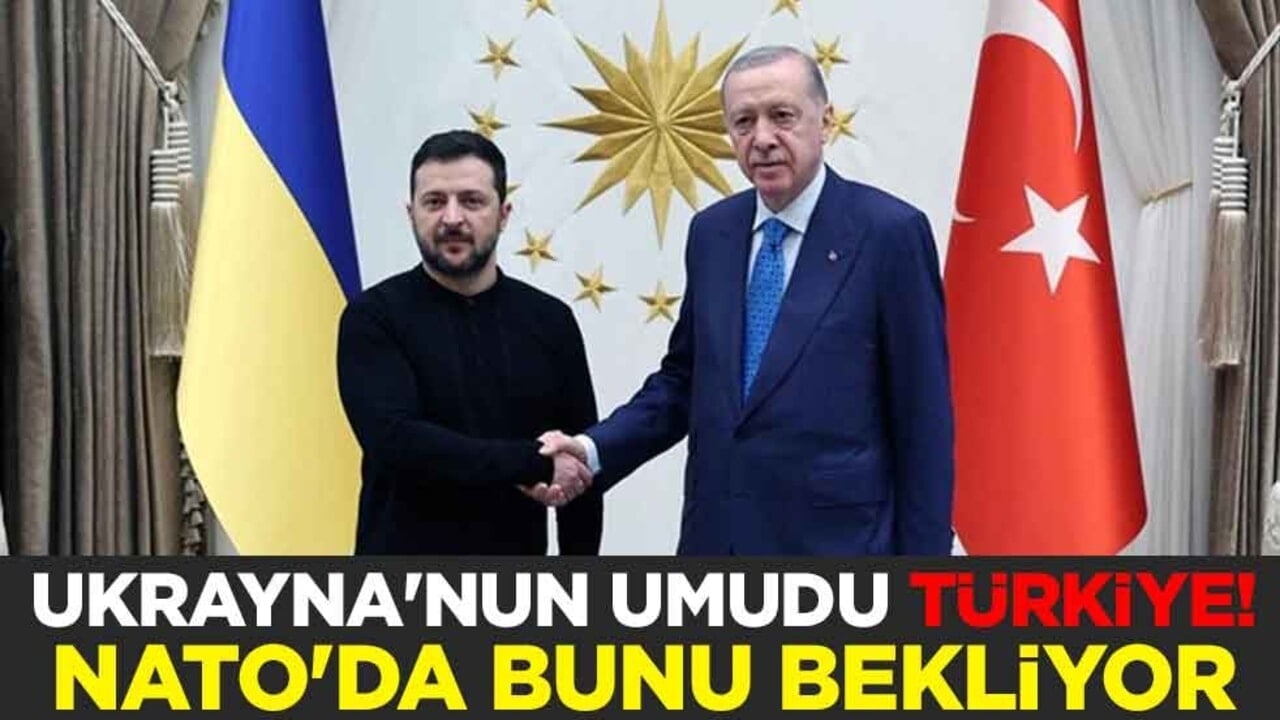 Ukrayna'nun umudu Türkiye! NATO'da bunu bekliyor