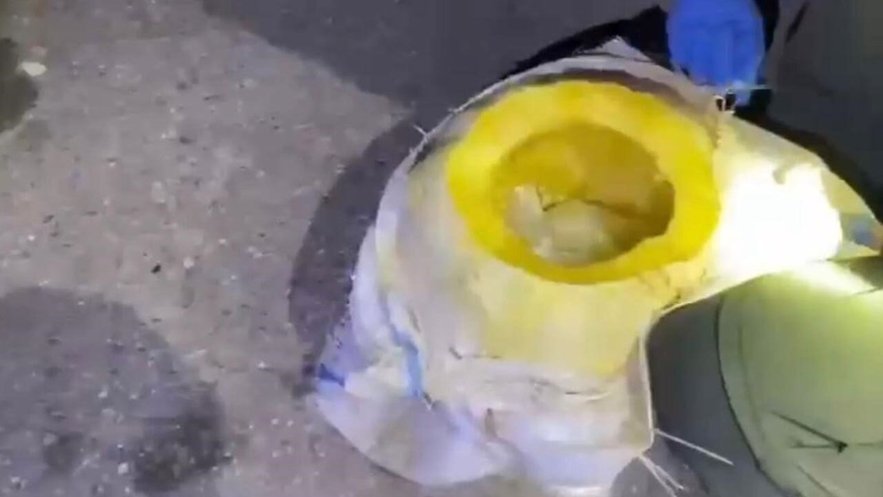 Uyuşturucu kabağının sahibi tutuklandı