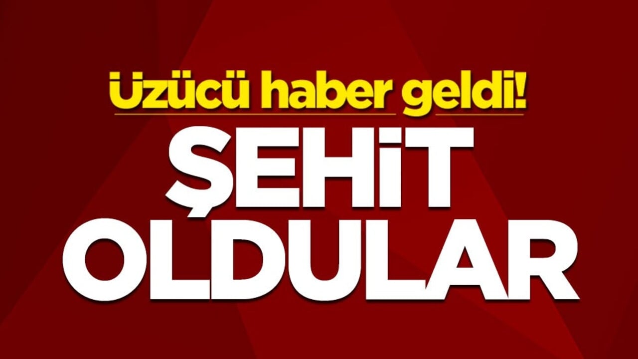 Üzücü haber geldi! Şehit oldular