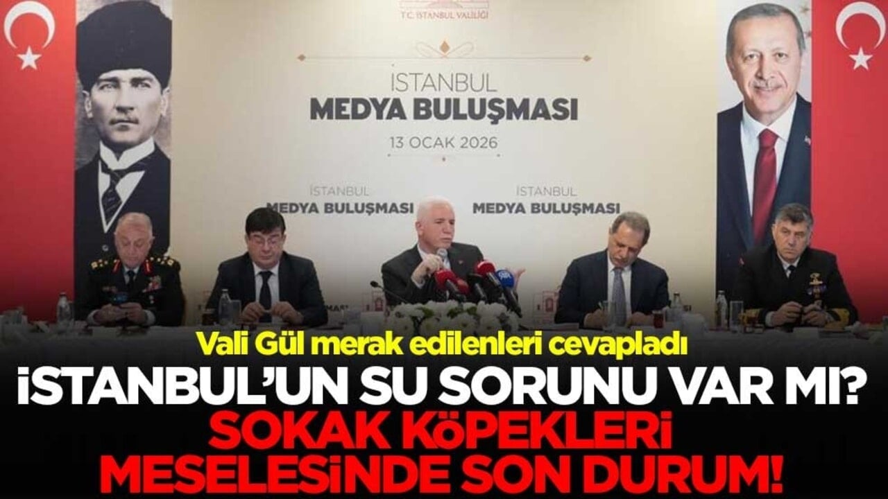 Vali Gül merak edilenleri cevapladı! İstanbul'da su sorunu var mı? Sokak köpekleri meselesinde son durum