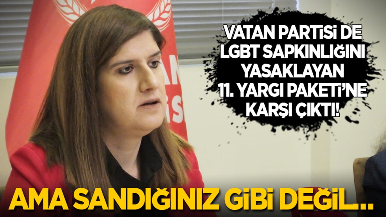 Vatan Partisi de LGBT sapkınlığını yasaklayan 11. Yargı Paketi’ne karşı çıktı! Ama sandığınız gibi değil…