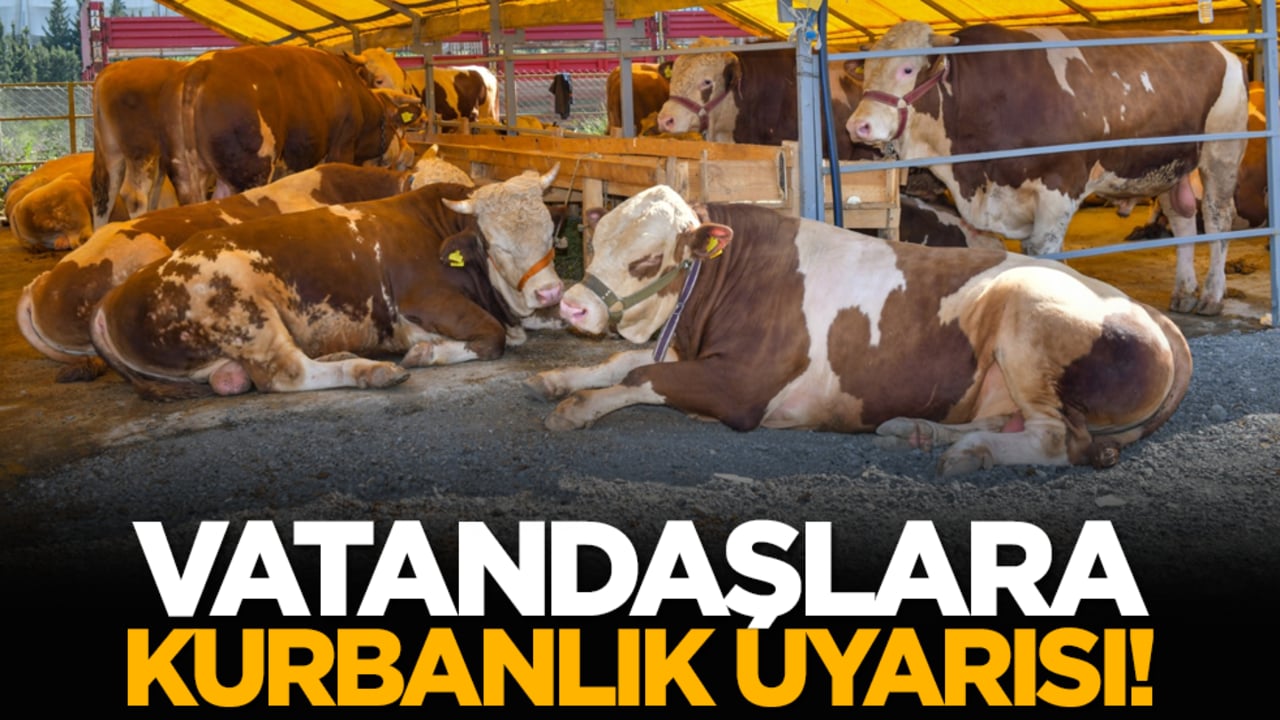 Vatandaşlara kurbanlık uyarısı!