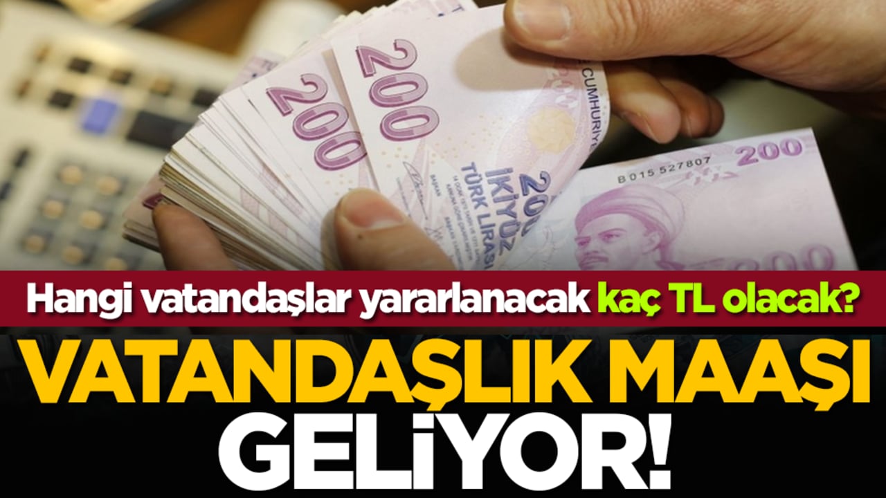 Vatandaşlık maaşı geliyor! Hangi vatandaşlar yararlanacak, kaç TL olacak?