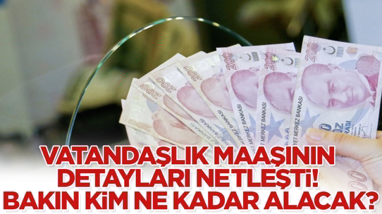 Vatandaşlık maaşının detayları netleşti! Bakın kim ne kadar alacak?