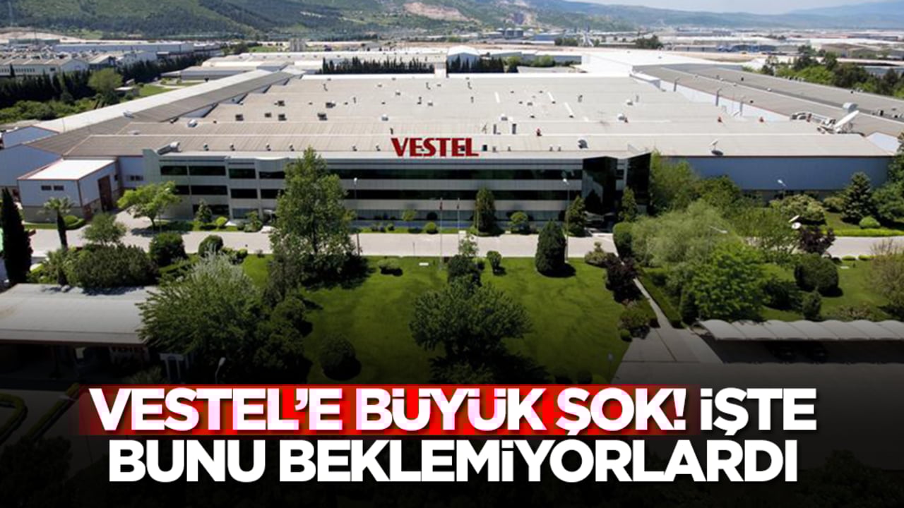 Vestel'e büyük şok: İşte bunu beklemiyorlardı