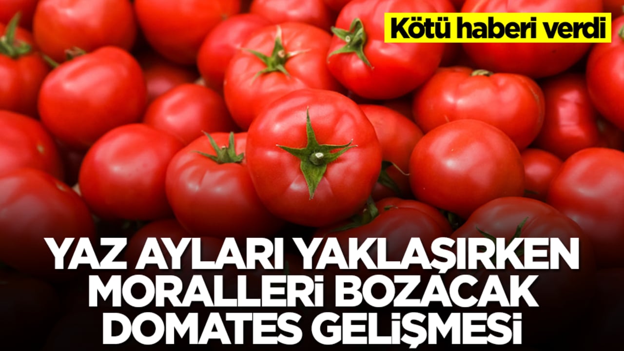 Yaz ayları yaklaşırken moralleri bozacak domates gelişmesi: Kötü haberi verdi