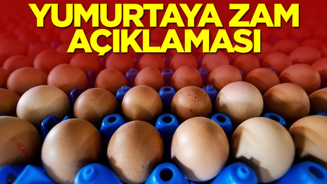 Yumurtaya zam açıklaması