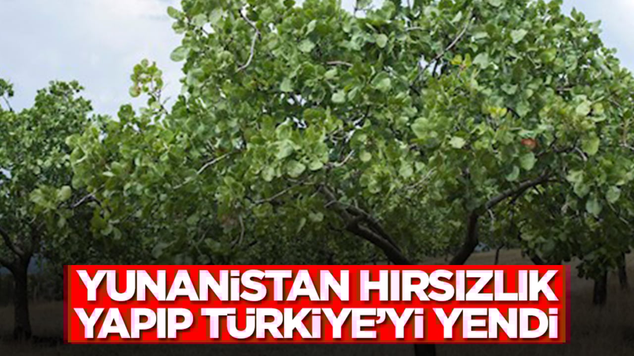 Yunanistan hırsızlık yapıp Türkiye'yi yendi