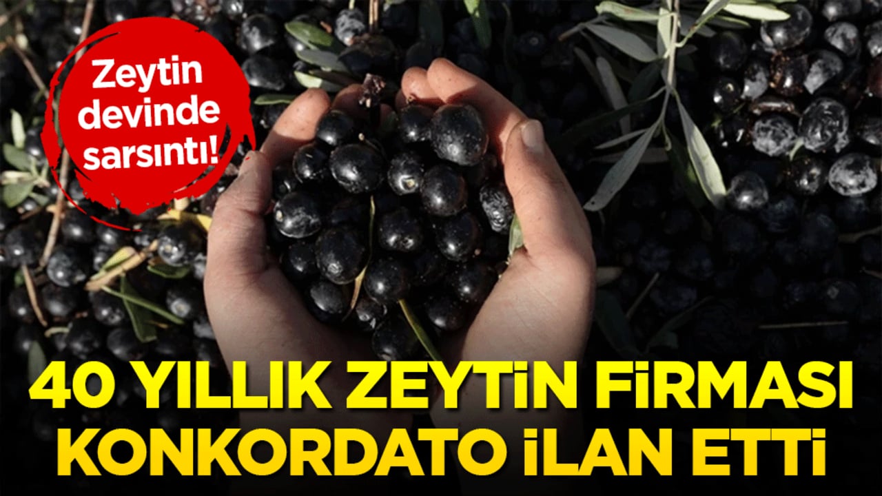 Zeytin devinde sarsıntı! 40 yıllık yerli dev BAKTAT konkordato ilan etti!